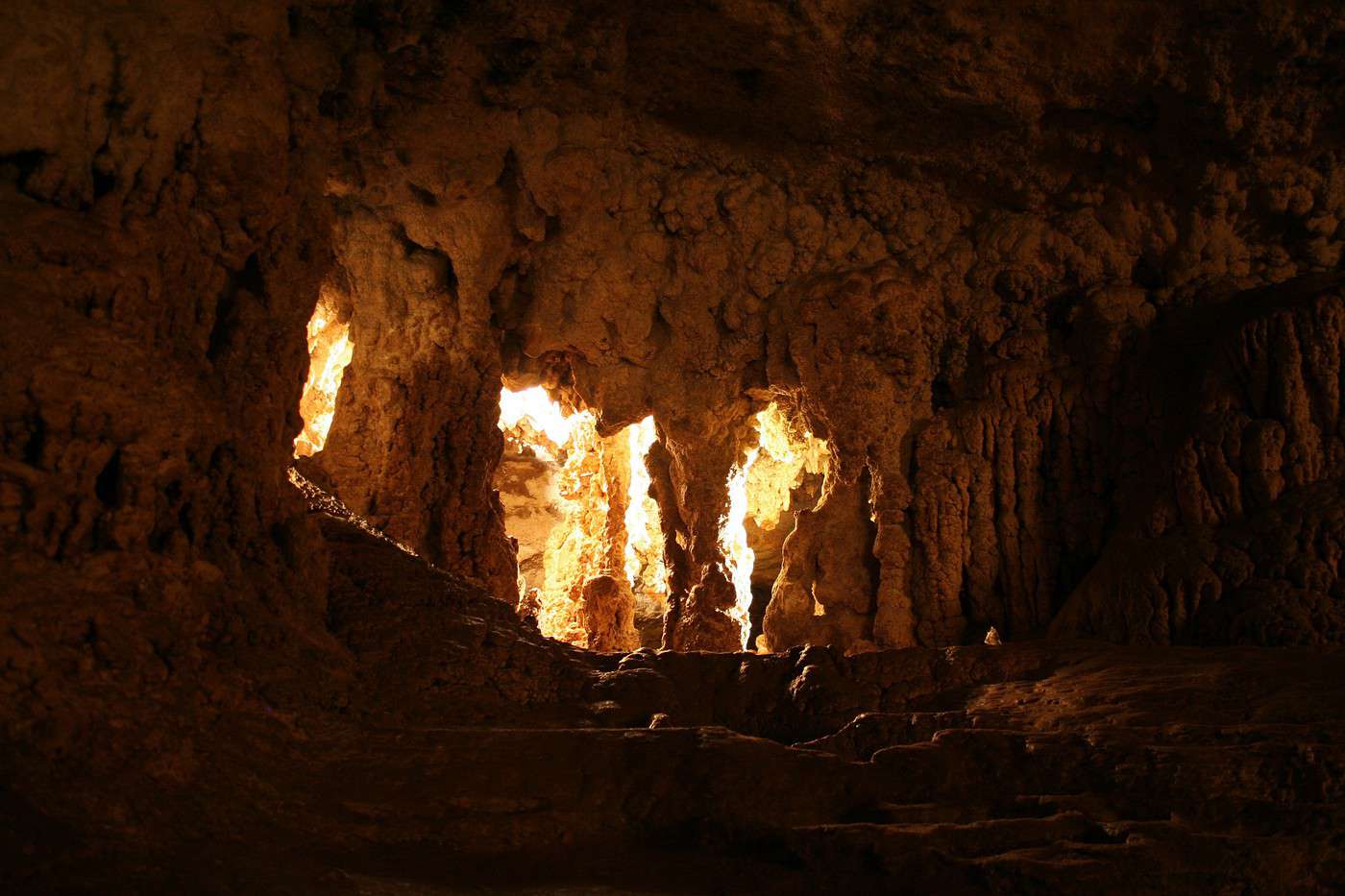 Parc national de Naracoorte Caves, Australie-Méridionale, Australie Parc national de Naracoorte Caves, Australie-Méridionale, Australie
