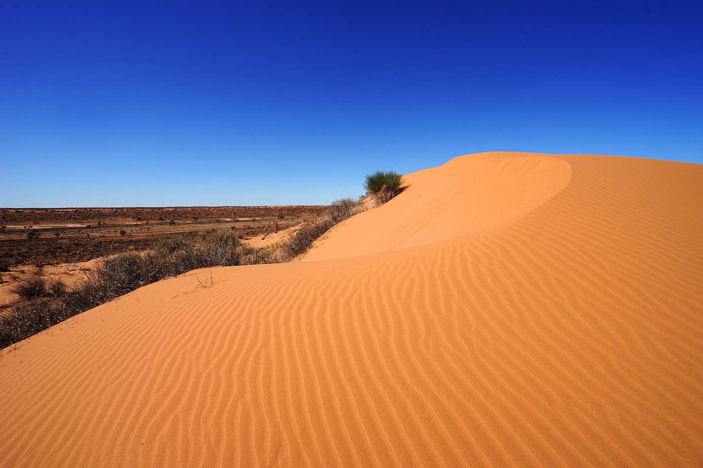 Désert de Simpson, Australie-Méridionale, Australie