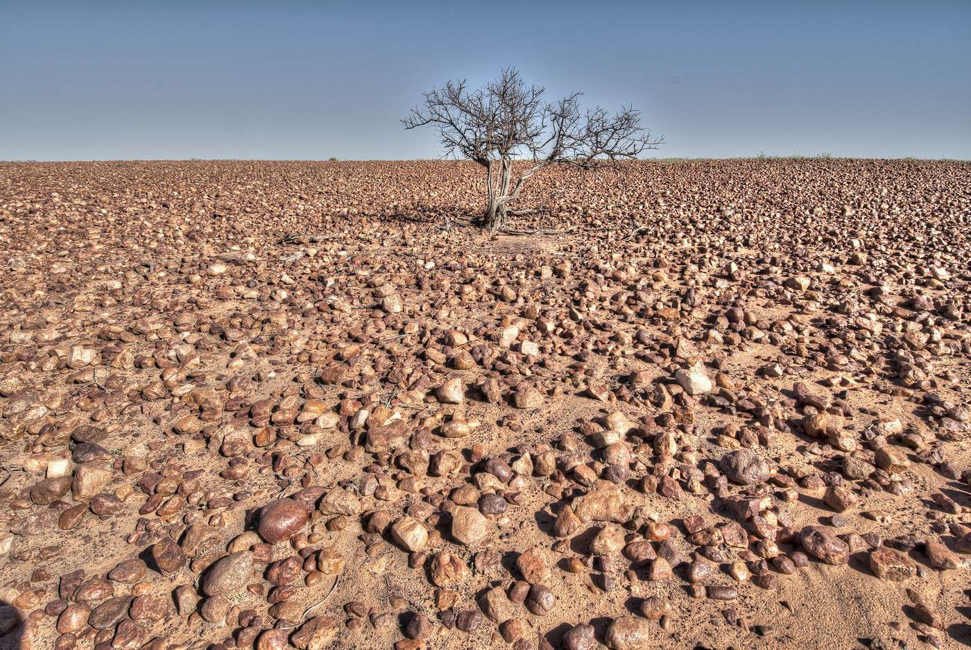 R&eacute;serve r&eacute;gionale d'Innamincka, Australie-M&eacute;ridionale, Australie