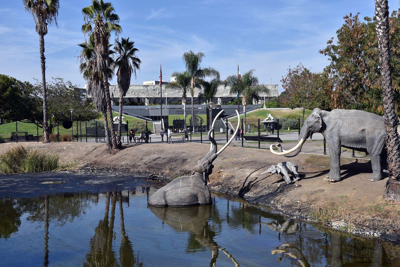 La Brea Tar Pits, Los Angeles, Californie, États-Unis La Brea Tar Pits, Los Angeles, Californie, États-Unis
