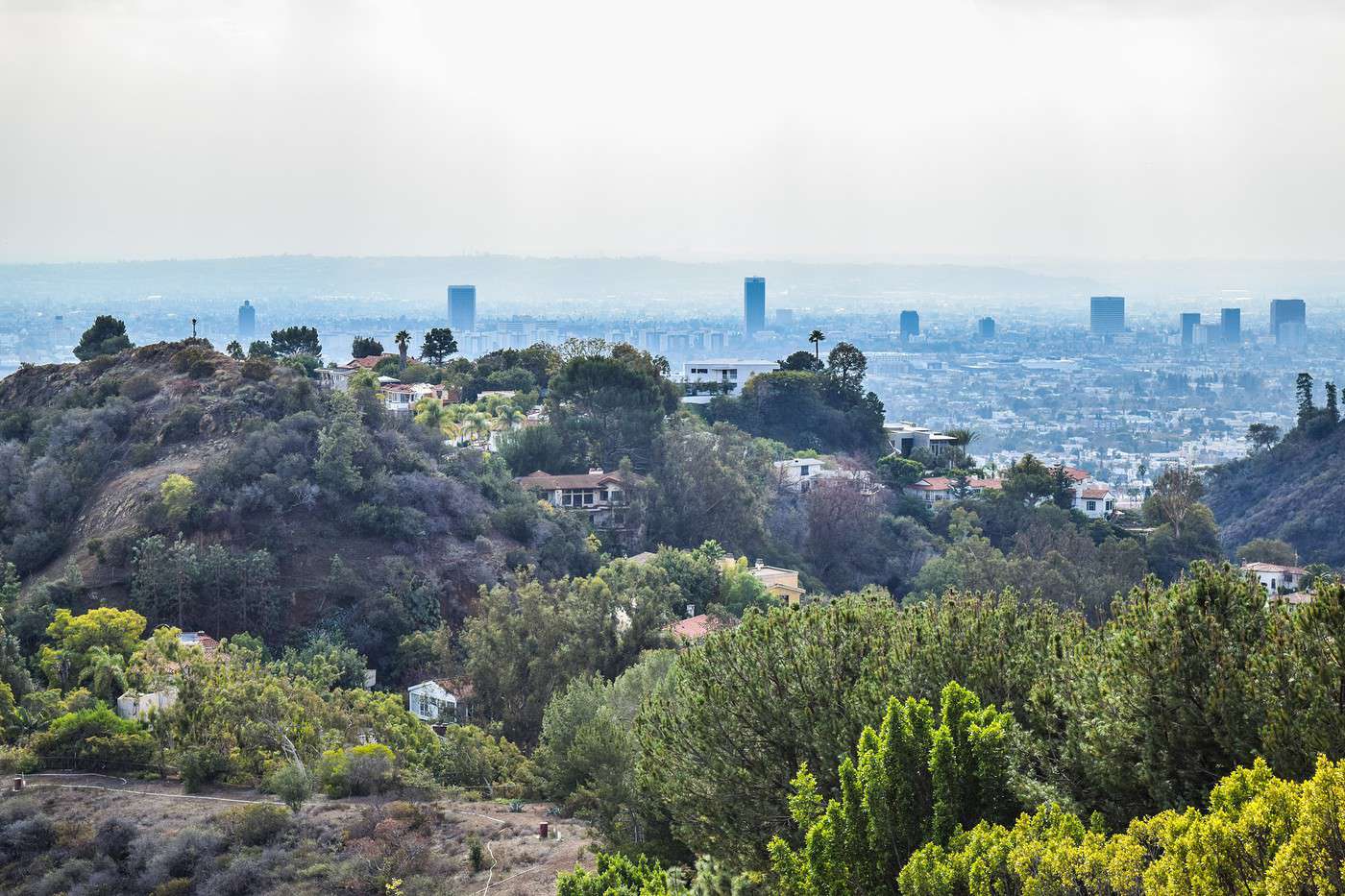 Runyon Canyon Park, Los Angeles, Californie, &Eacute;tats-Unis