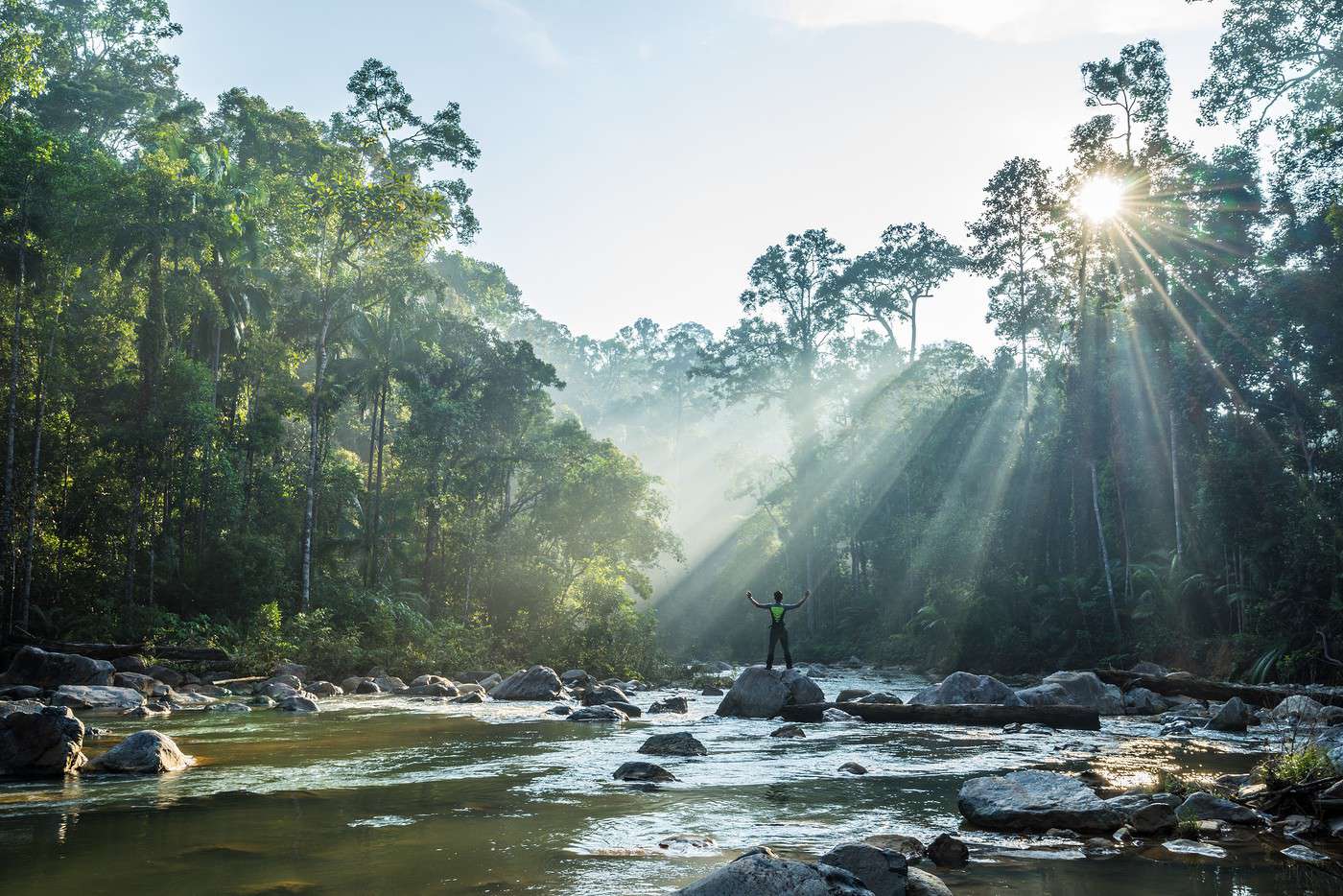 Parc national Endau Rompin, Malaisie