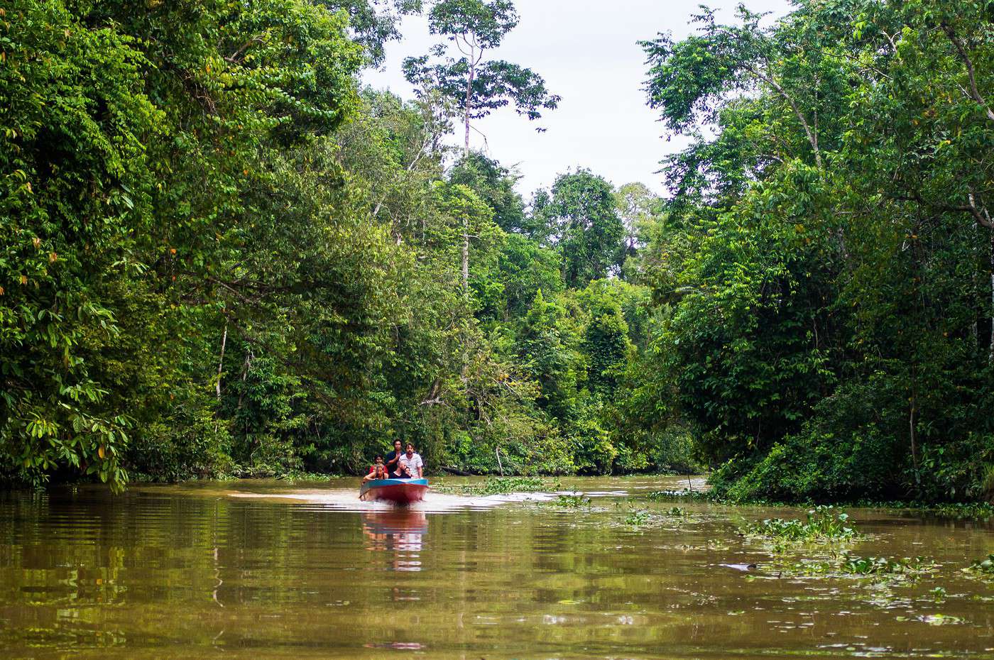 Kinabatangan, Malaisie