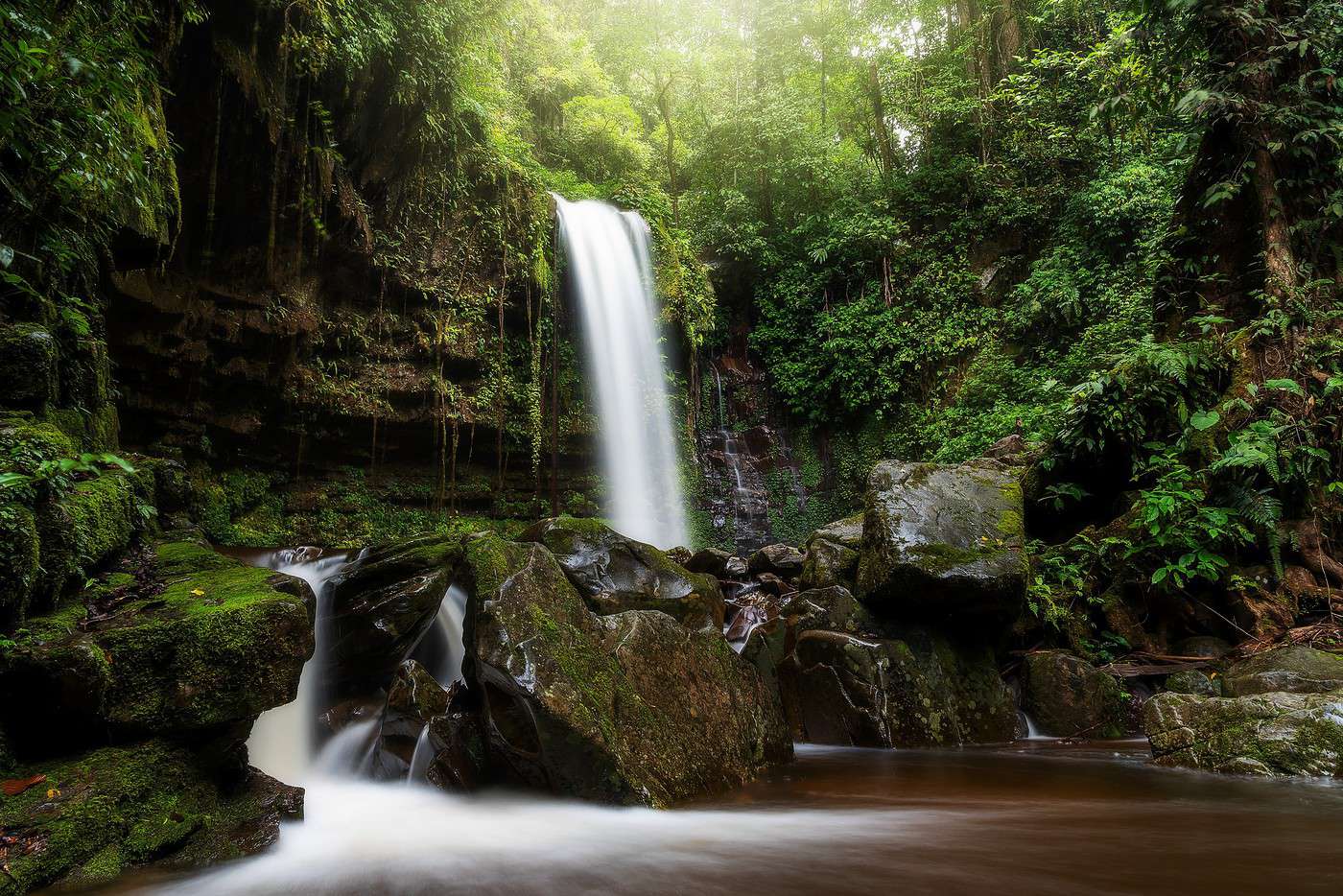 Parc national de Crocker Range, Malaisie