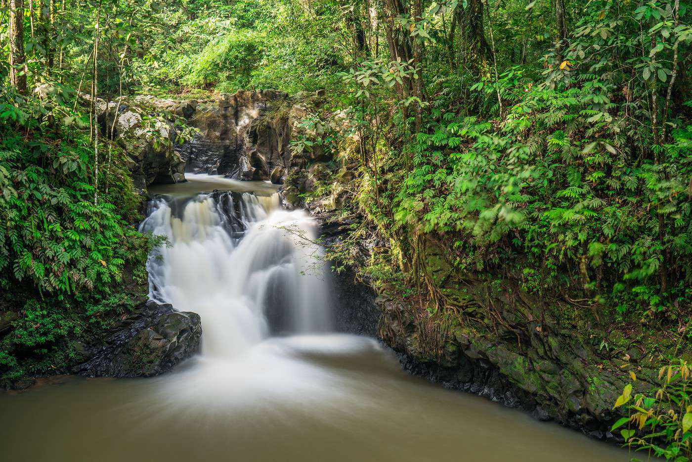 Parc national de Tawau Hills, Malaisie