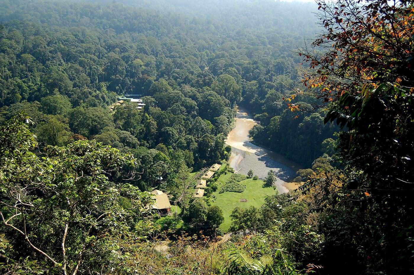 Vall&eacute;e de Danum, Malaisie