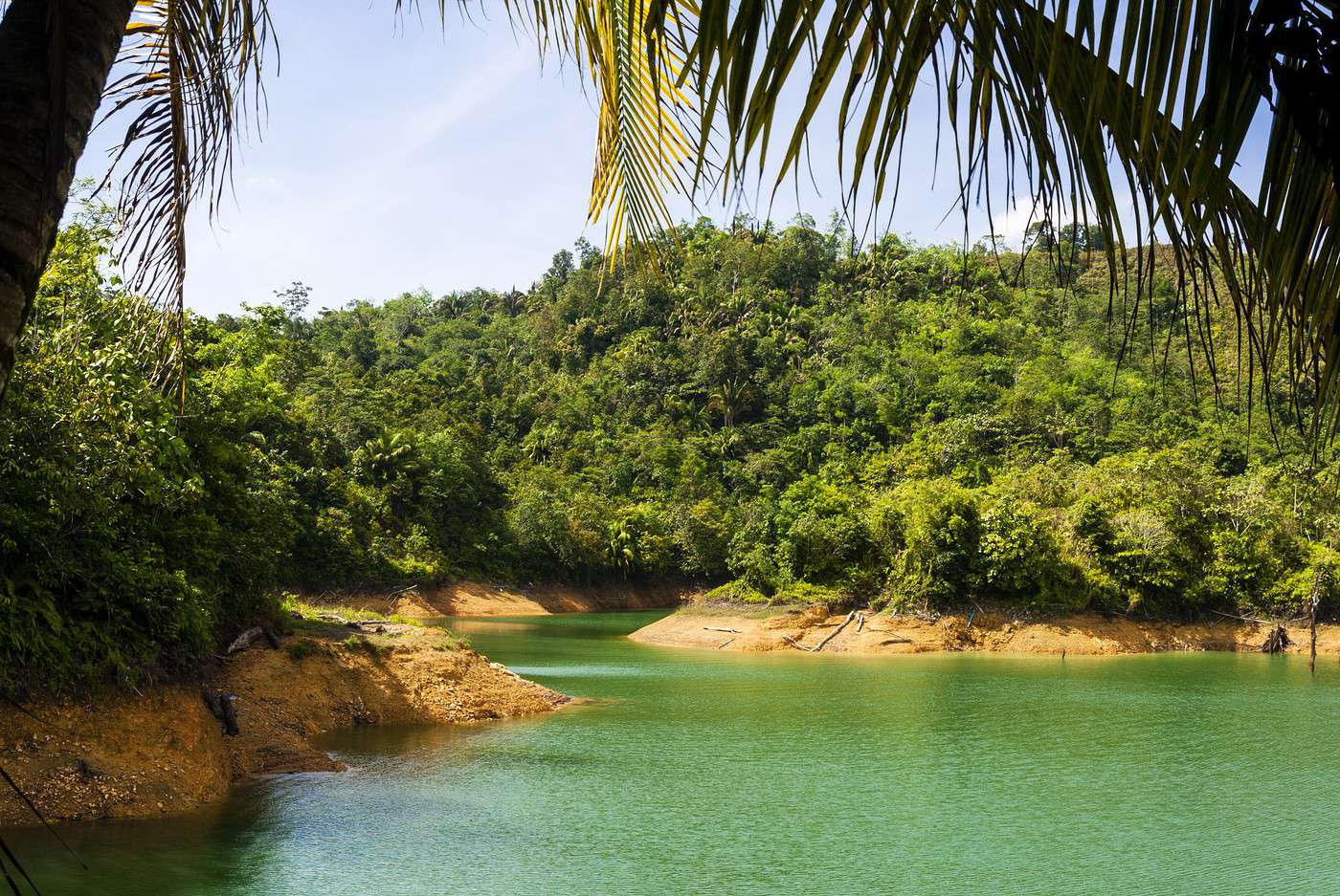 Parc national de Batang Ai, Malaisie