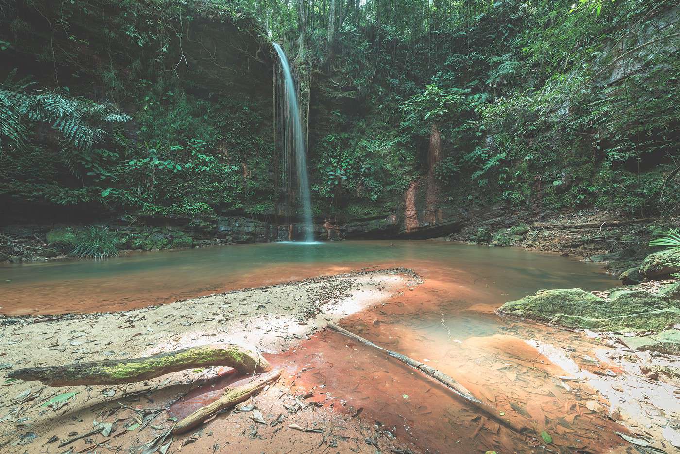 Parc national de Lambir Hills, Malaisie