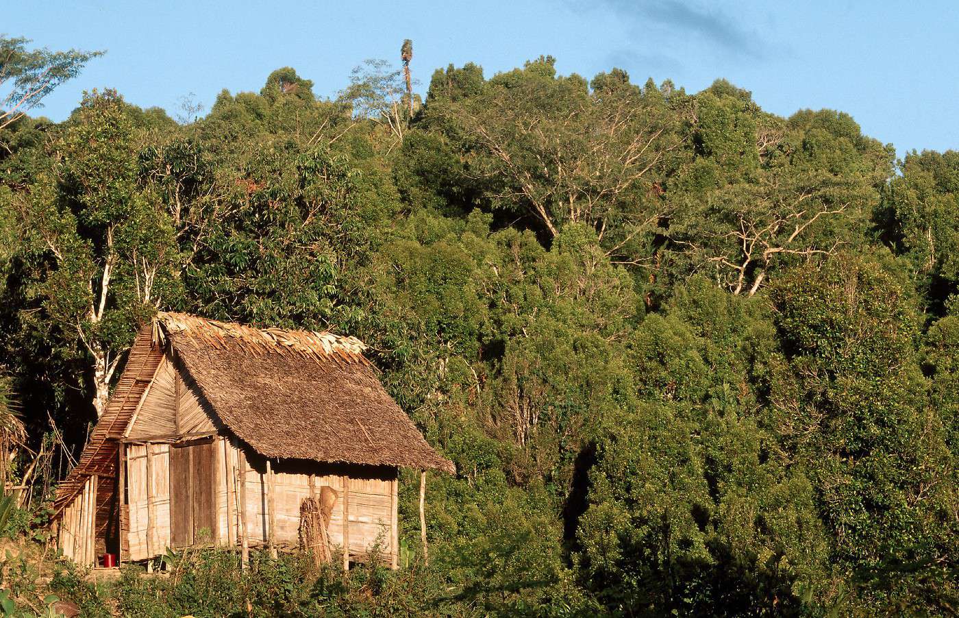 Parc national de Mananara Nord, Madagascar