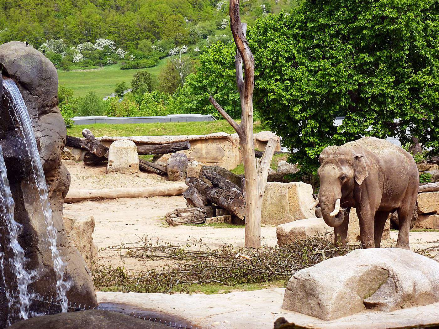 Zoo, Prague, République Tchèque