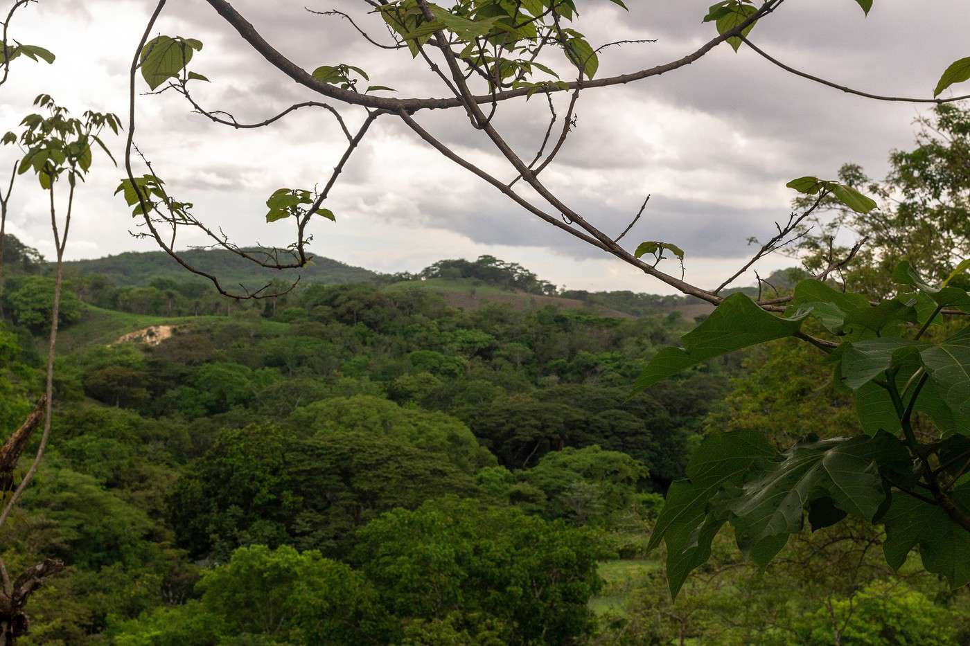 Parc national de Guanacaste, Costa Rica