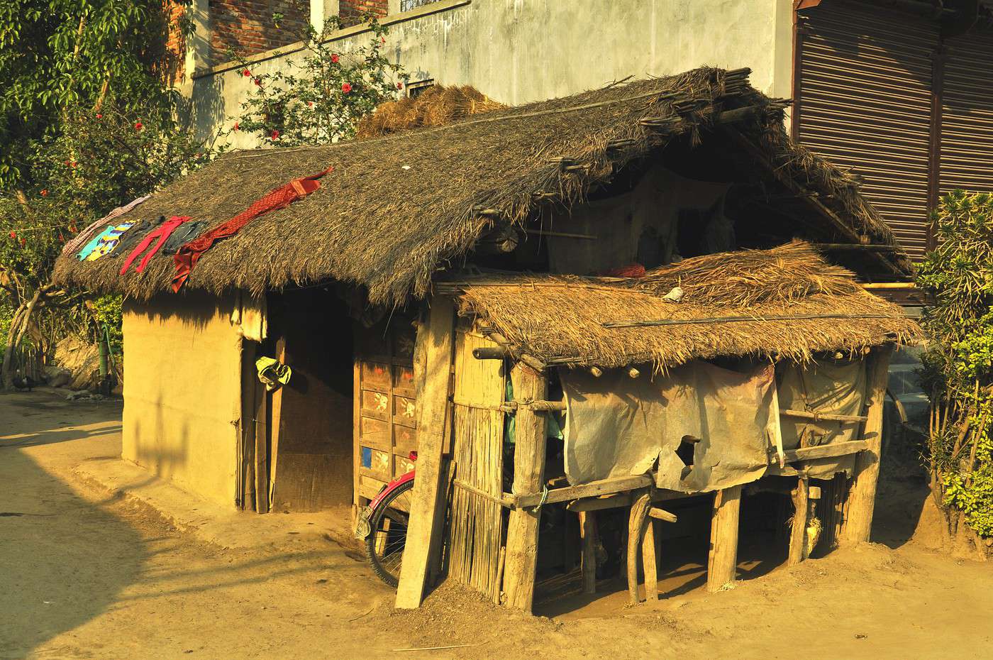 Sauraha, N&eacute;pal