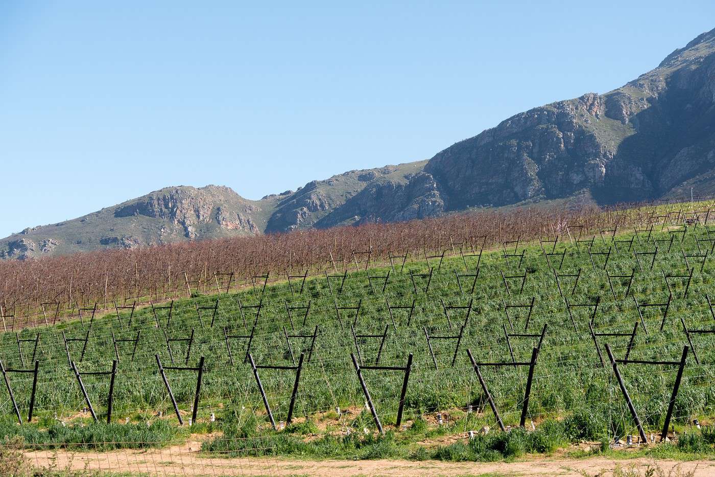Tulbagh, Afrique du Sud