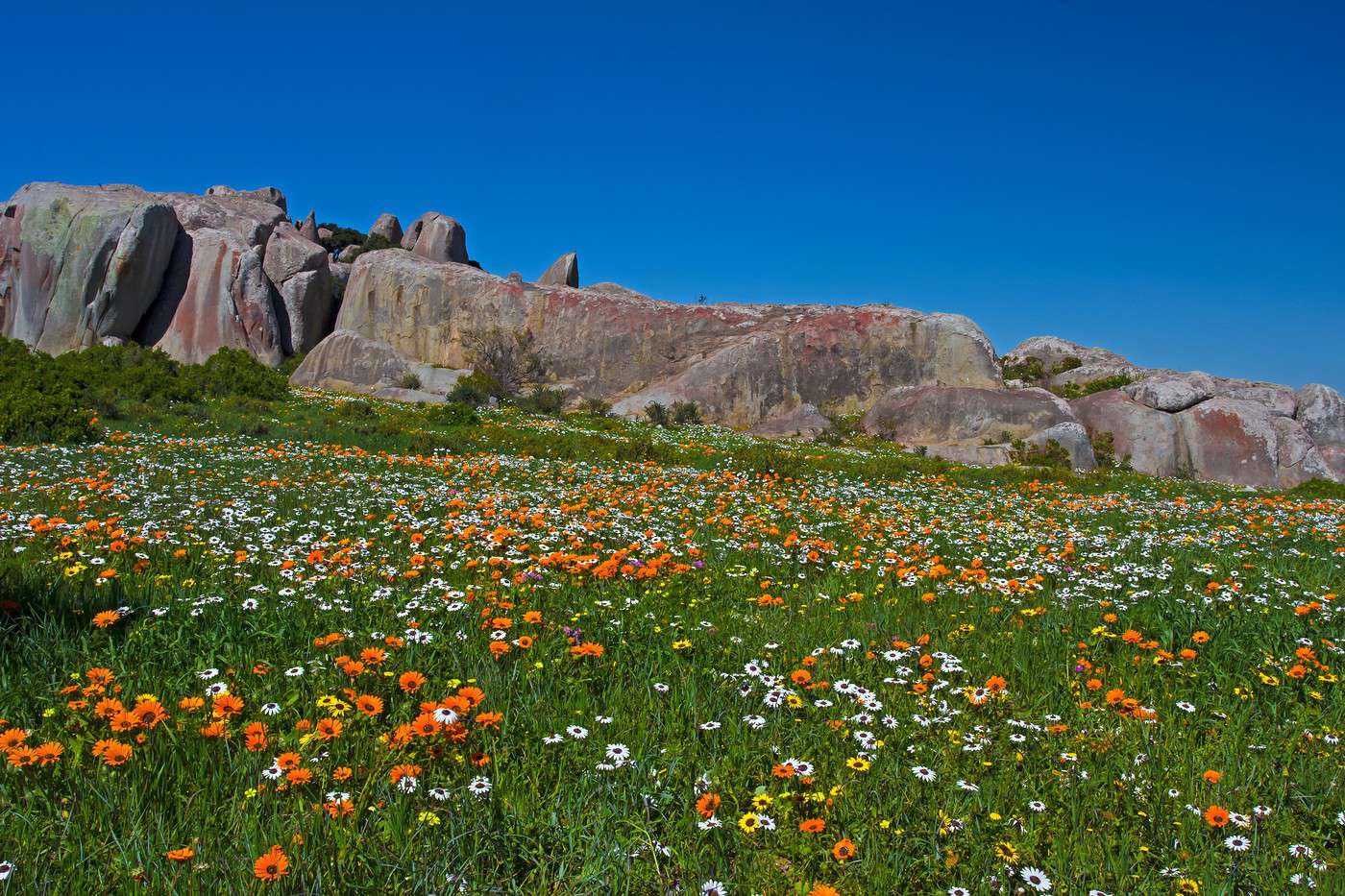 Parc national West Coast, Afrique du Sud