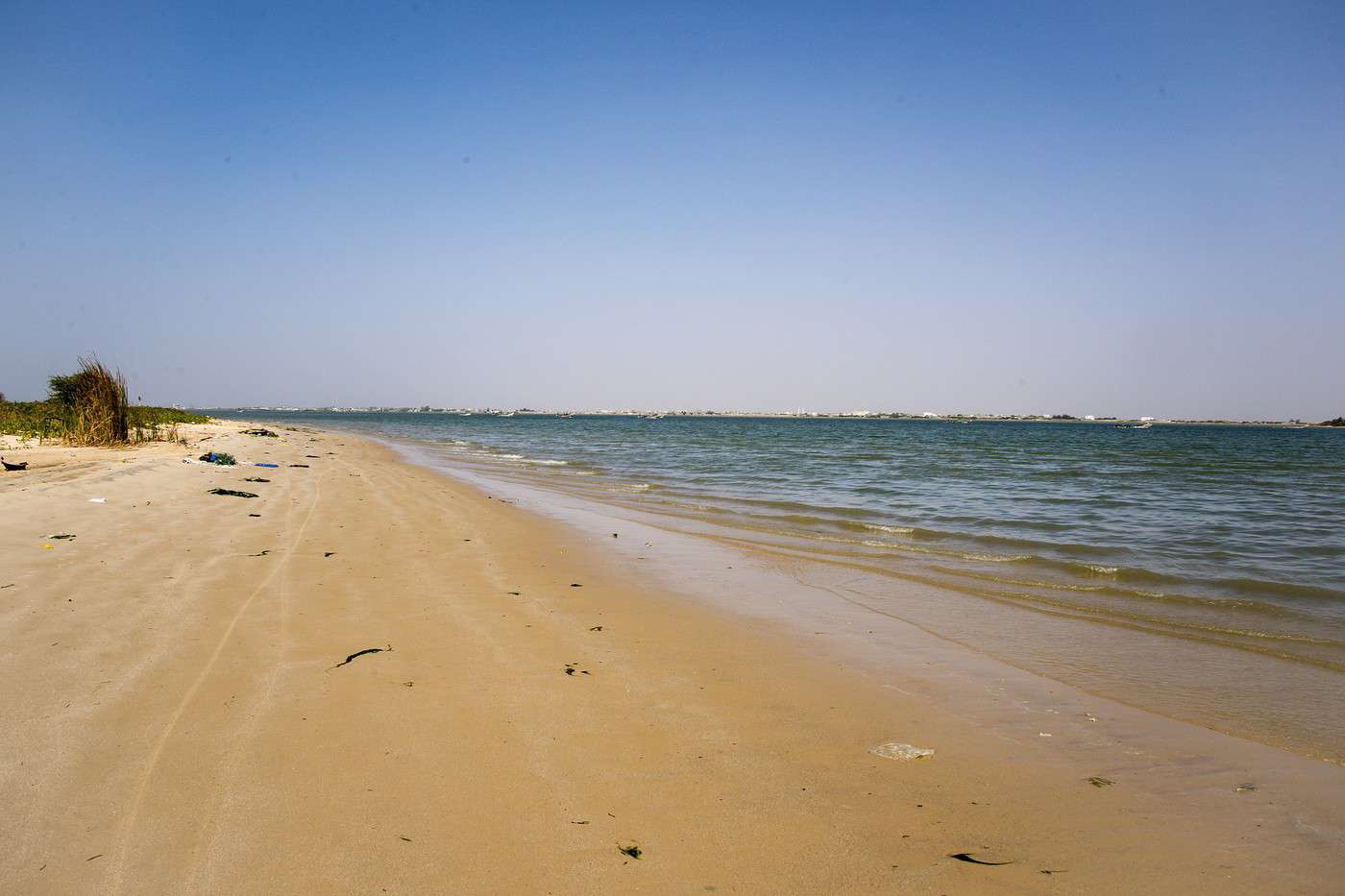 Parc national de la Langue de Barbarie, Sénégal