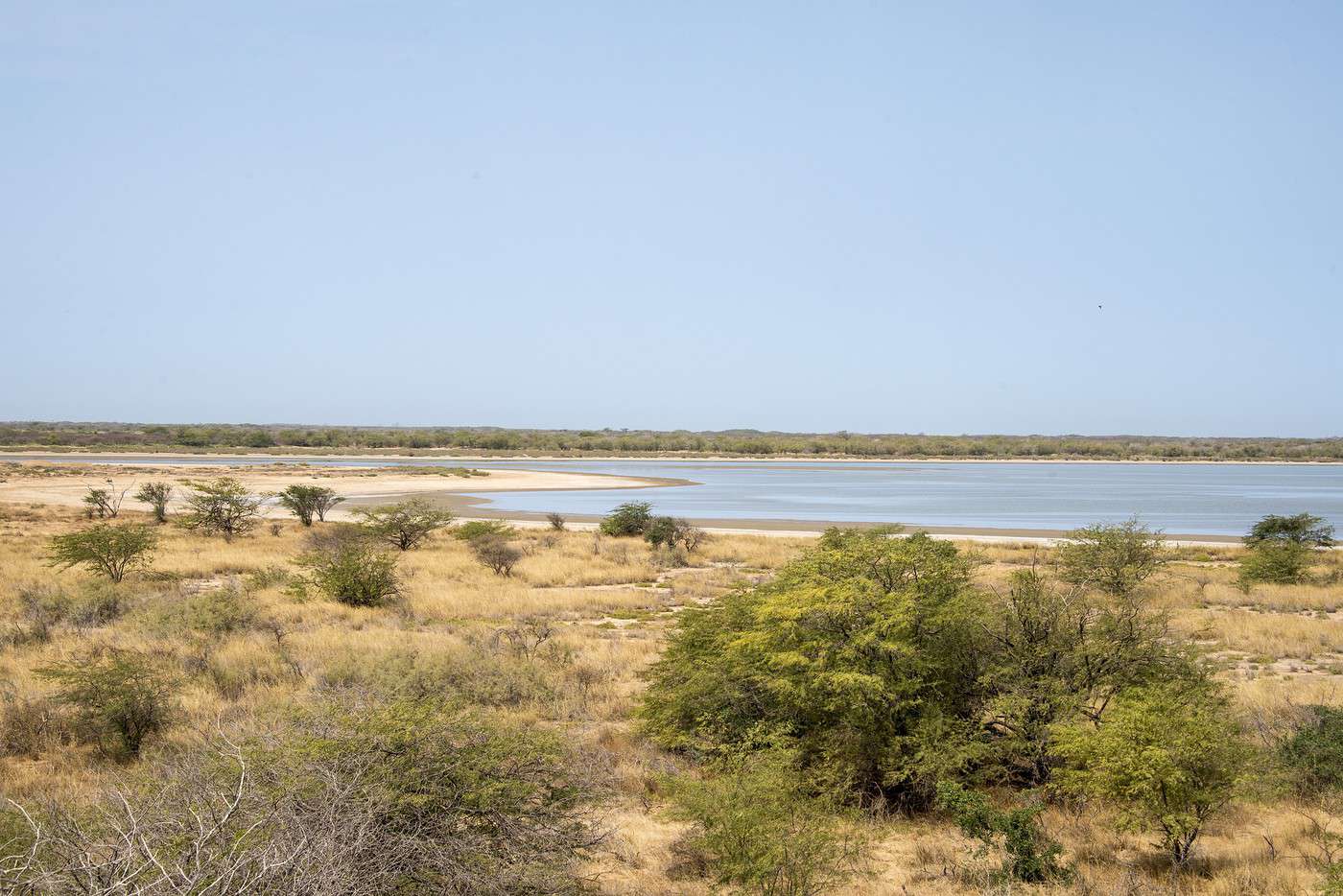 R&eacute;serve de Guembeul, S&eacute;n&eacute;gal