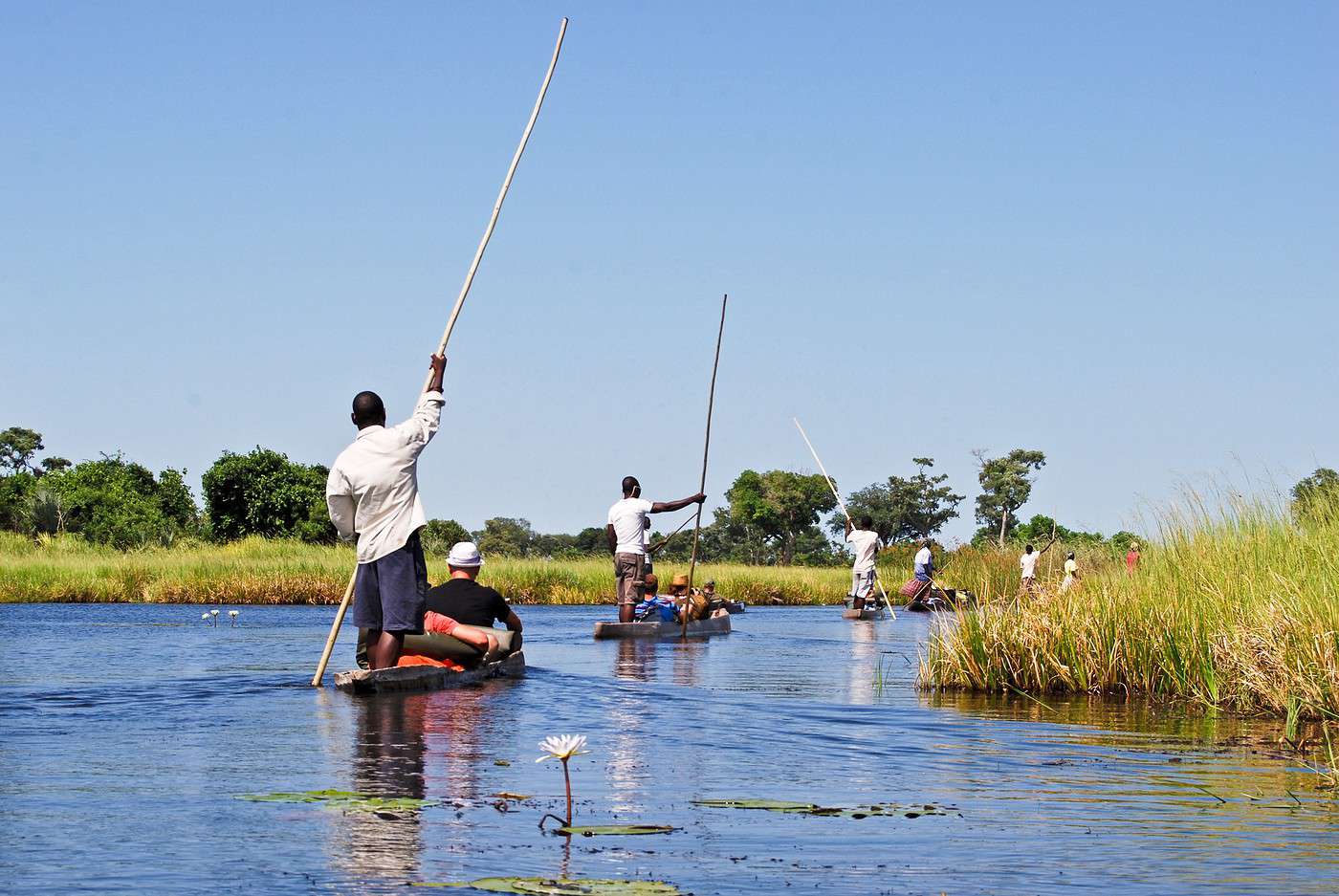 Okavango, Namibie