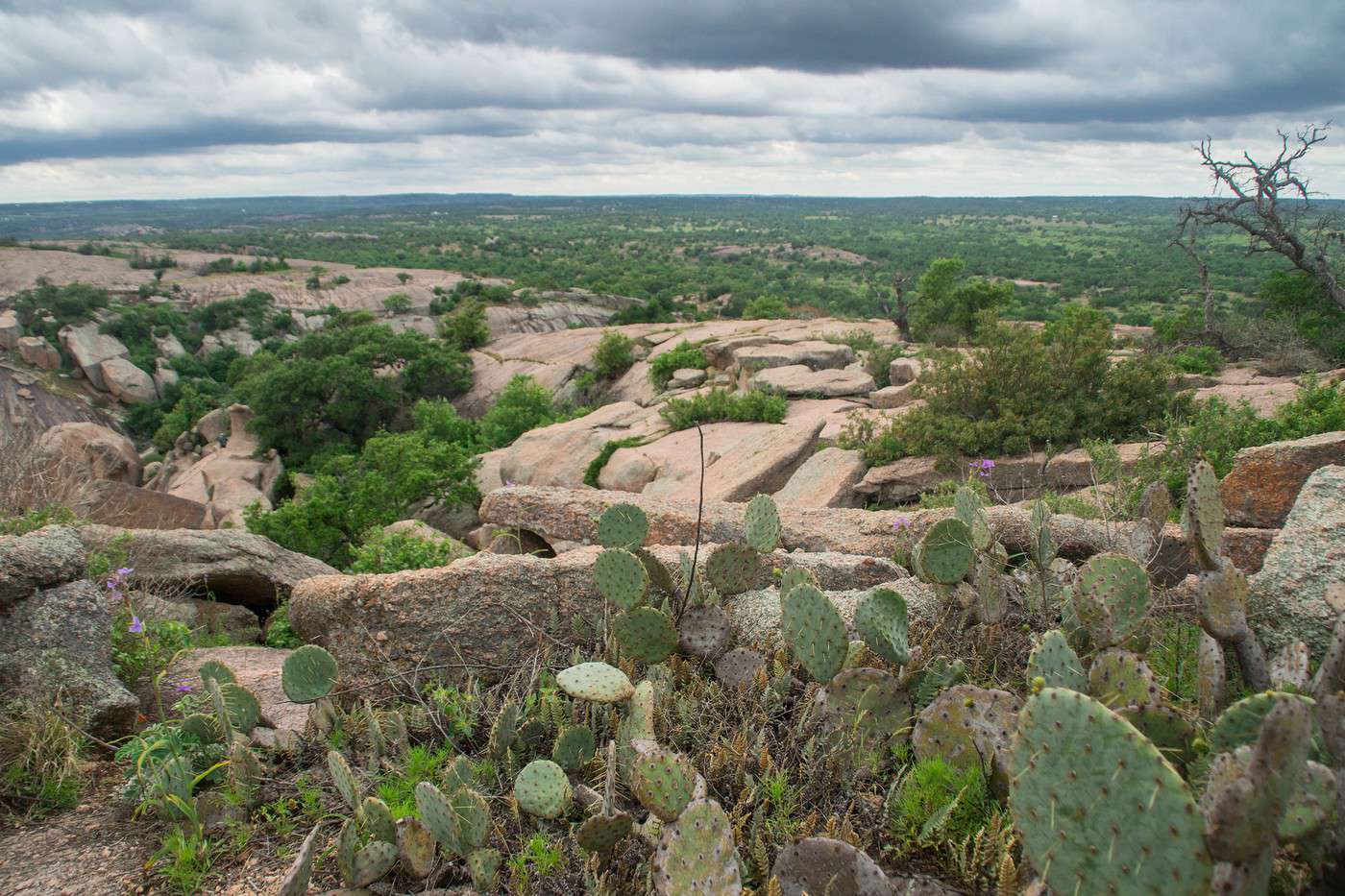 German Hill Country, Texas, États-Unis German Hill Country, Texas, États-Unis