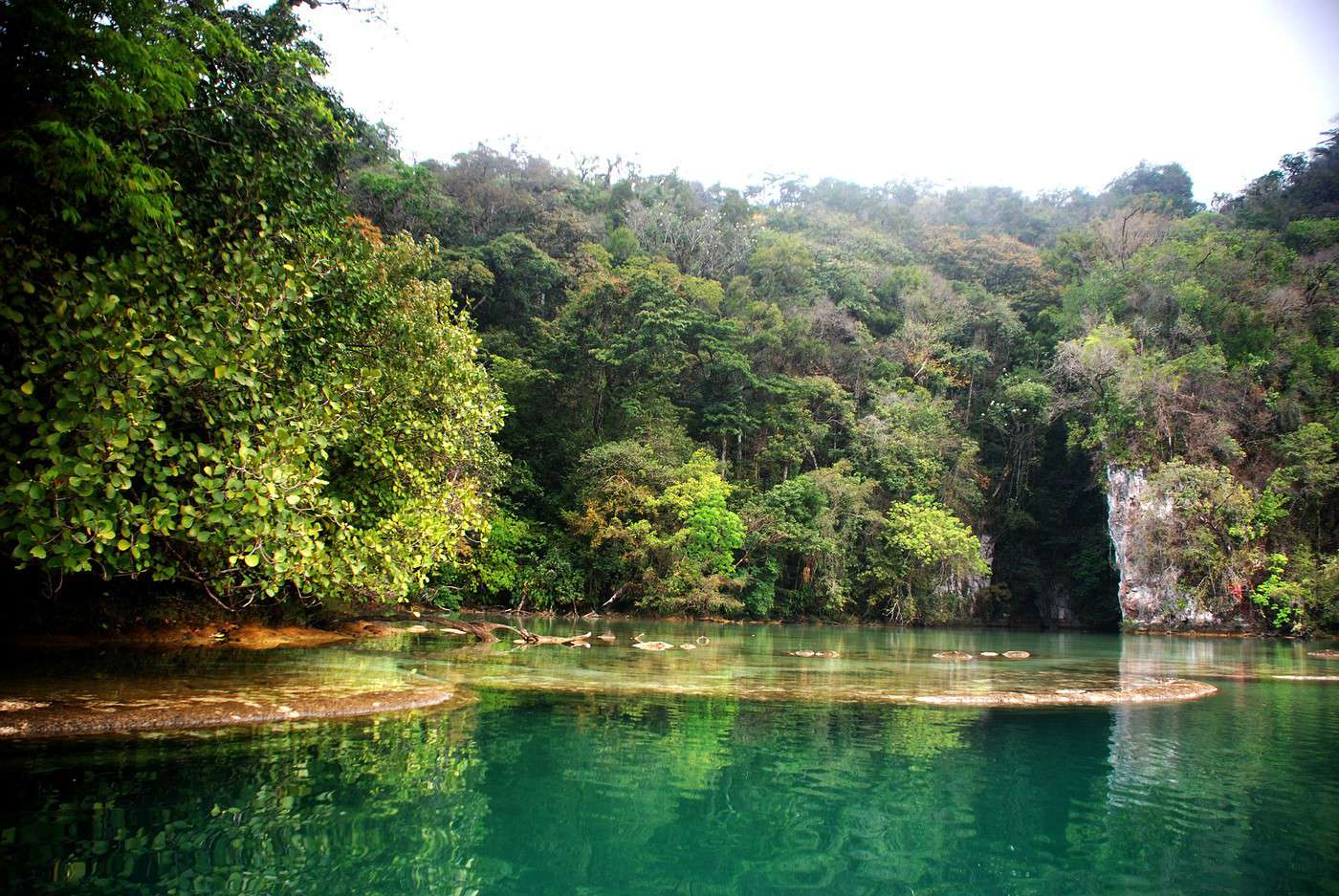 Laguna Miramar, Mexique