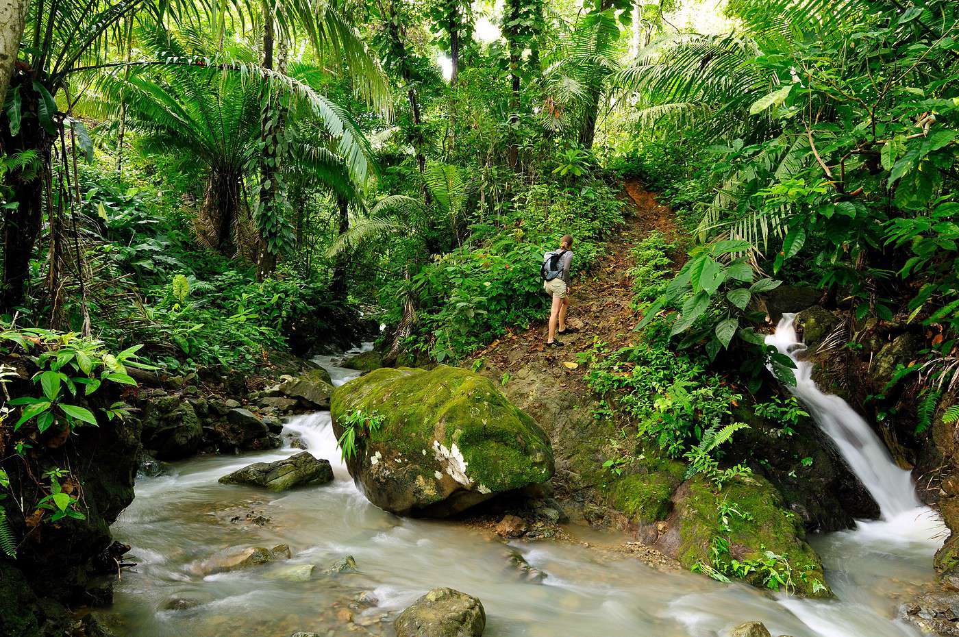 Parc national du Darien, Panama