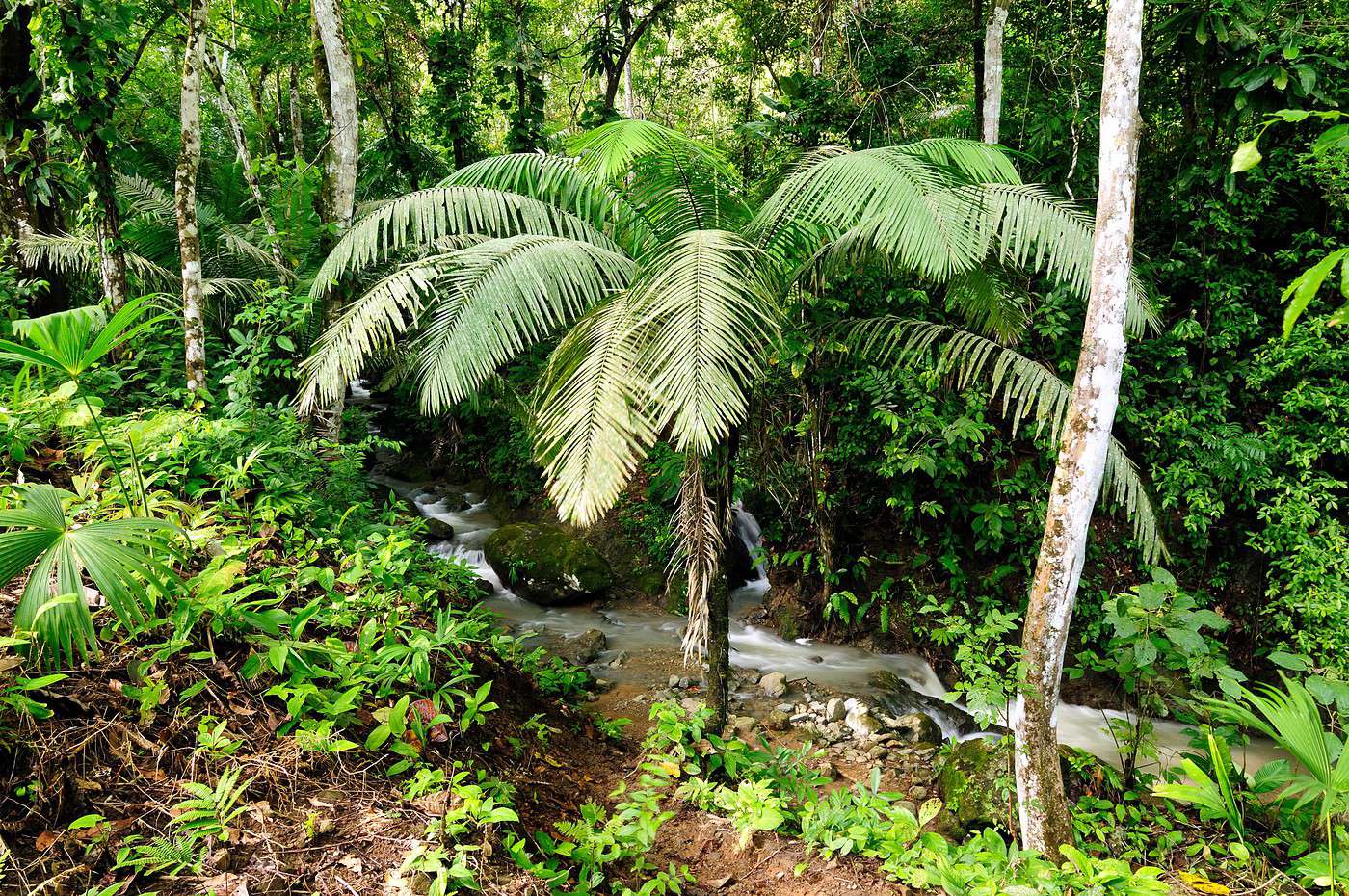 Darien, Panama