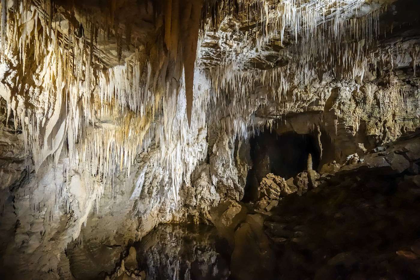 Waitomo, Nouvelle-Zélande