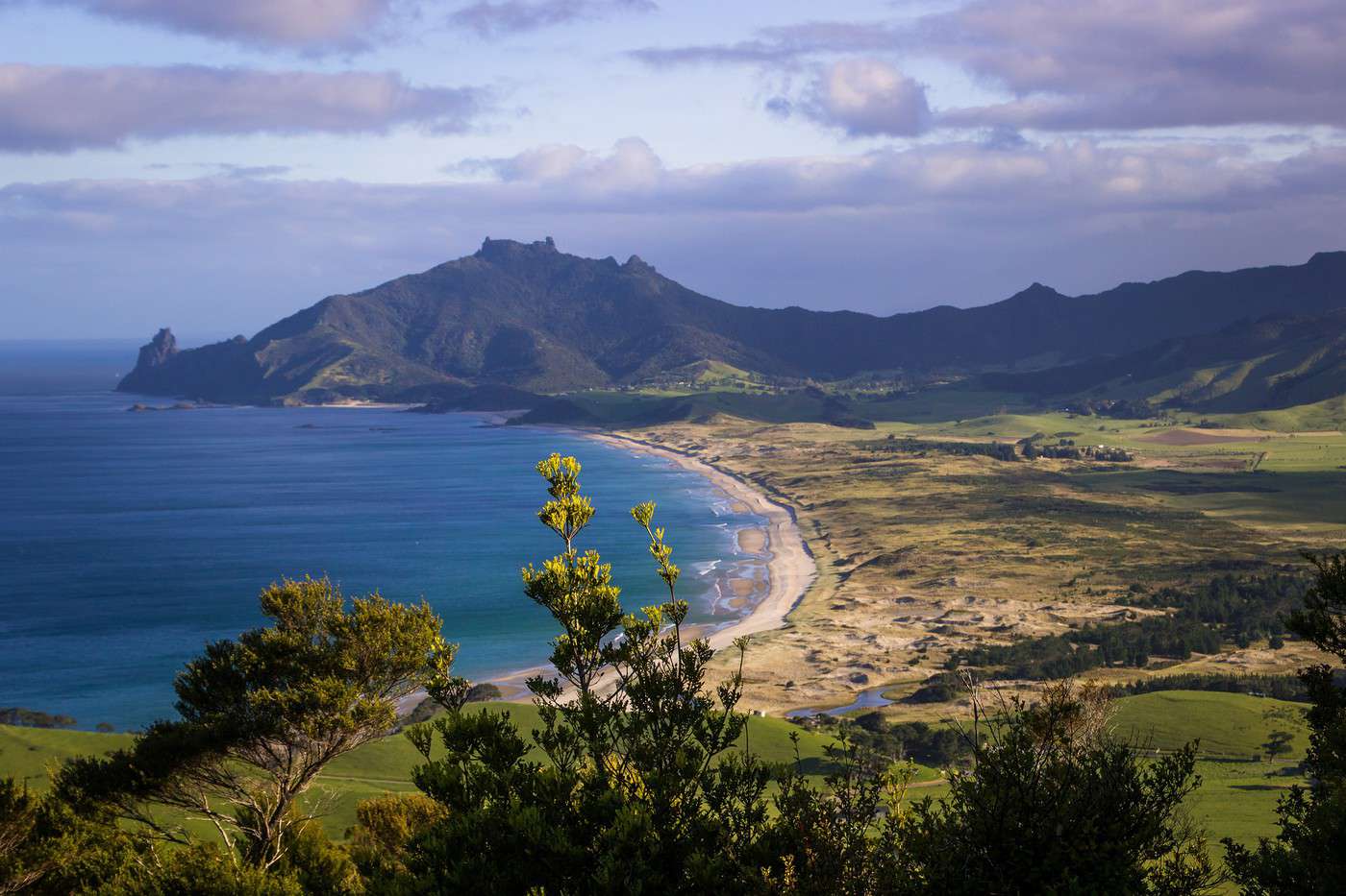 Kauri Coast, Nouvelle-Z&eacute;lande