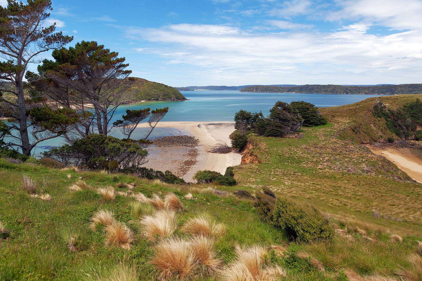 Île Stewart, Nouvelle-Zélande Île Stewart, Nouvelle-Zélande