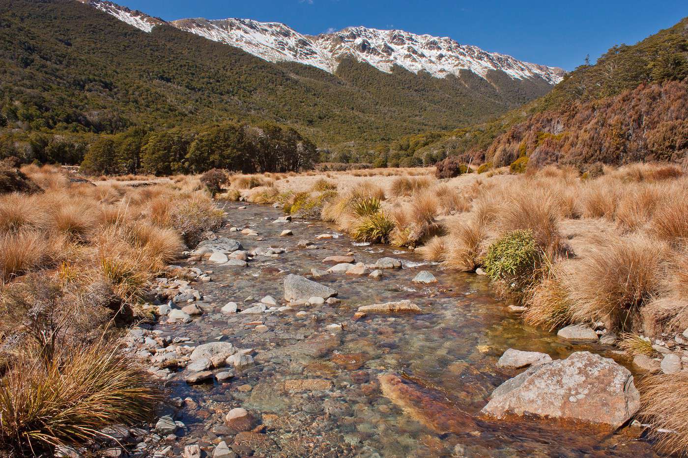 Parc national de Kahurangi, Nouvelle-Z&eacute;lande