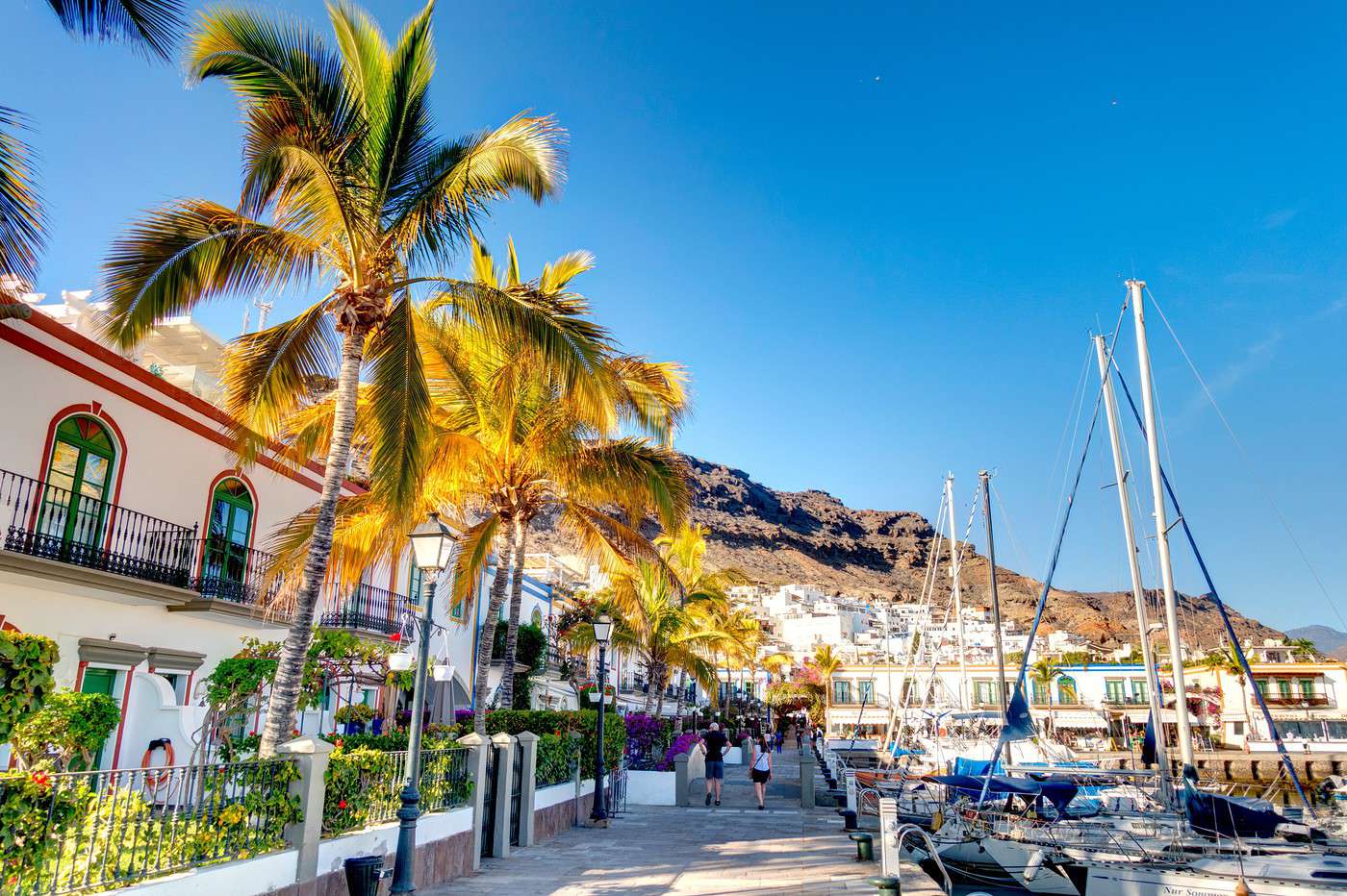 Mogan, Canaries