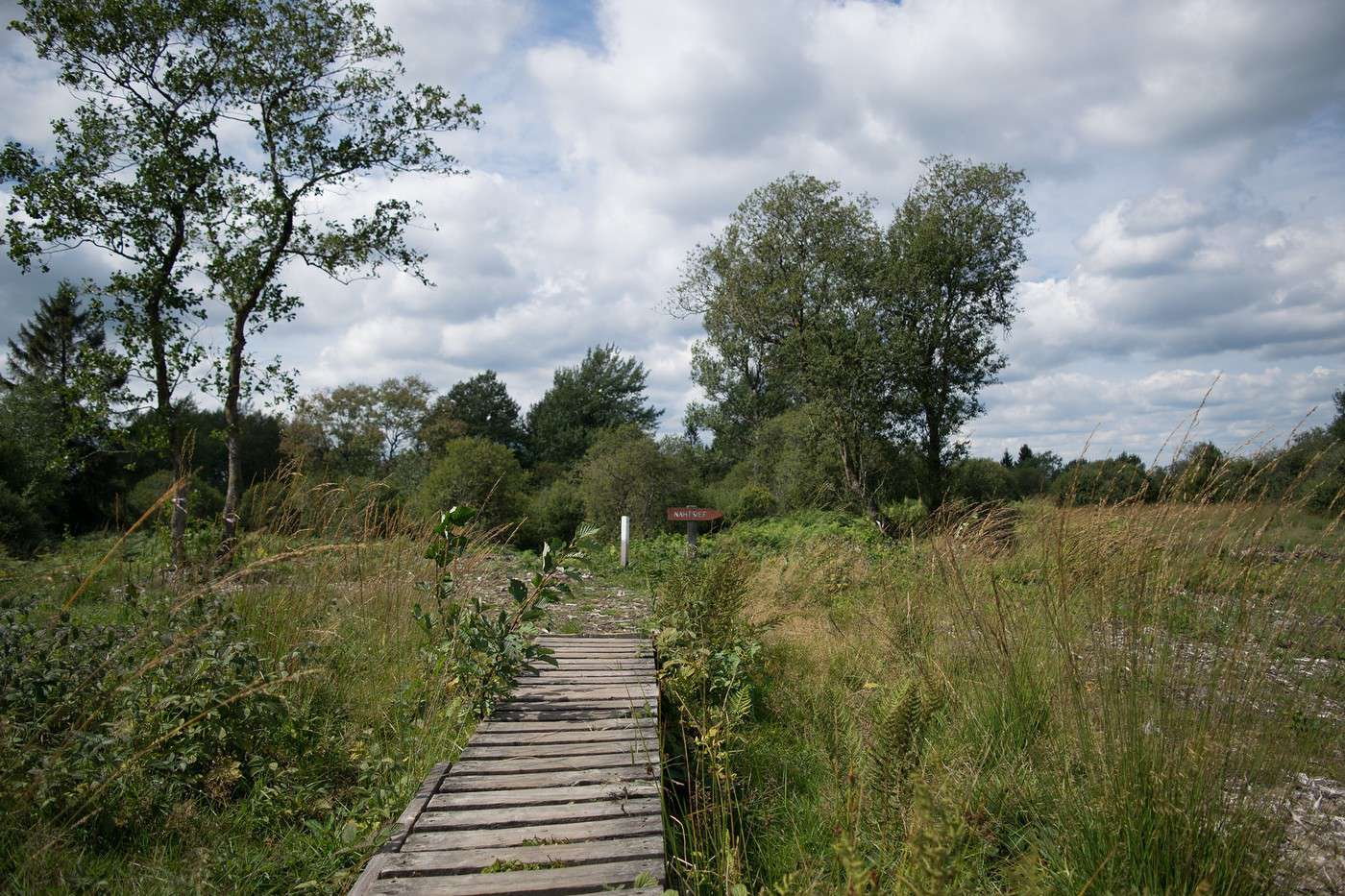 Réserve naturelle des Hautes Fagnes, Belgique