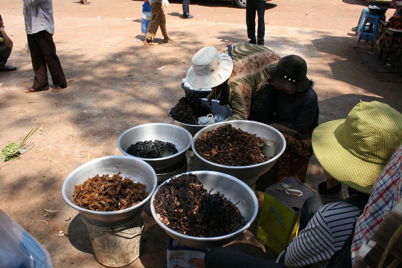 Skuon au Cambodge  village des migales Forum 