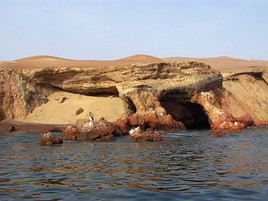 Iles Ballestas, P&eacute;rou