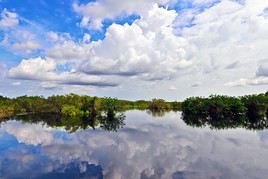 Parc national des Everglades, Floride, &Eacute;tats-Unis