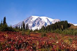 Parc national du mont Rainier, Washington (&eacute;tat), &Eacute;tats-Unis
