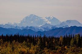 Parc national de Denali, Alaska, &Eacute;tats-Unis