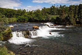 Parc national de Katmai, Alaska, &Eacute;tats-Unis