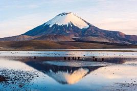 Parc national Lauca, Chili