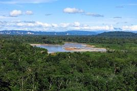 Parc national Madidi, Bolivie