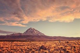 Parc national Sajama, Bolivie