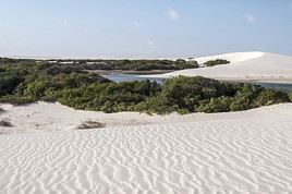 Parc national de Lençois Maranhenses, Brésil