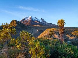 Parc national Los Nevados, Colombie
