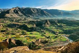 Canyon de Colca, P&eacute;rou
