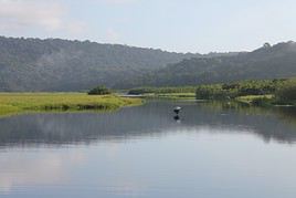 Marais de Kaw, Guyane