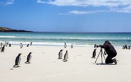 Saunders Island, Malouines