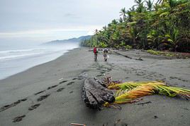 Parc national Corcovado, Costa Rica