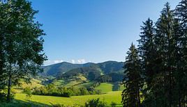 For&ecirc;t-Noire, Allemagne