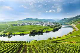 Vall&eacute;e de la Moselle, Allemagne