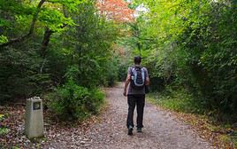 Chemins de Compostelle, Espagne