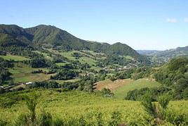 Monts du Cantal, Cantal, France